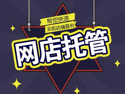 福田较好的网店托管代运营服务公司_深圳网络营销/推广_本地服务网_胖