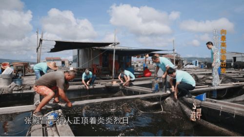 向最高标准出发 南海渔业 宝藏 的守护者