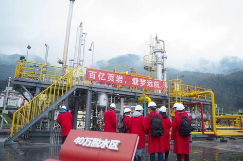 多种矿产勘查开发获新突破 我国页岩气格局形成,找到163个矿种